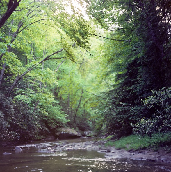 A Trail called Swift Camp Creek - 04 - Downstream of Dog Fork.jpg
